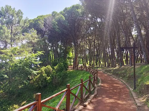 Çamlık