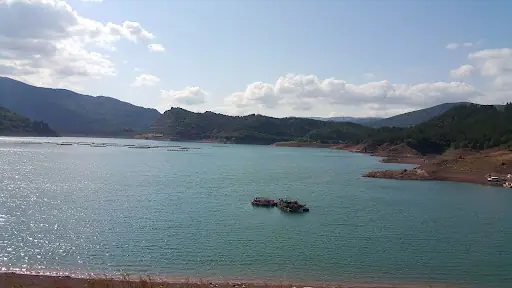 Almus Orman Evleri 3