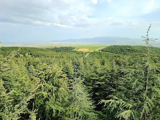 Saraydüzü Kamp Merkezi 2