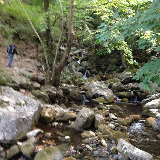 Park 3