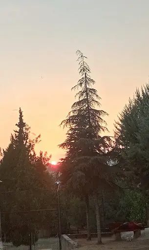 Özel Ataköşkü Canev Bakım Merkezi