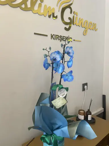 Neslim Güngen Kırşehir 4