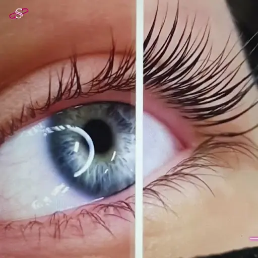 Sibella Beauty Center (Güzellik Salon) 4