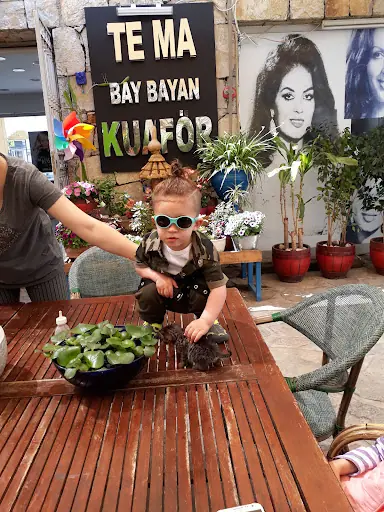 Tema Kuaför 5
