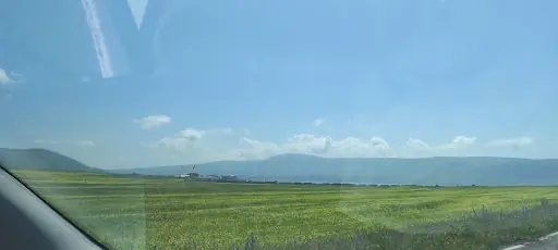 dilanpolatuşak 3