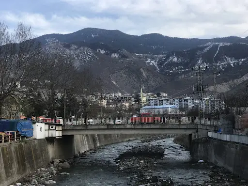 Ardanuç