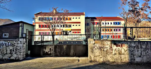 Lice Anadolu Lisesi