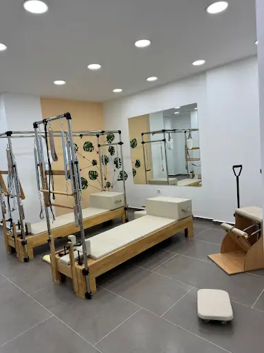 FİZYO REFLEKS 4