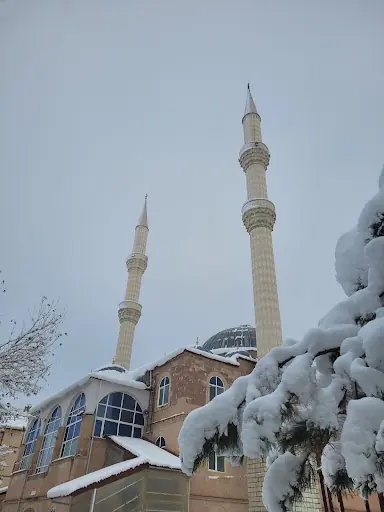 Sulusaray Merkez Camii 5