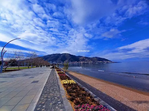 Tayfun Gürsoy Parkı 2