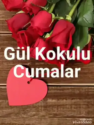 Erhan ın köşe barı – Diğer (Güzellik), İstanbul (4. fotoğraf)