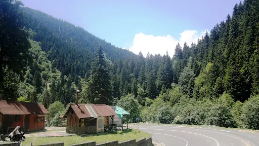 Ekrem Orhon Çamlık Piknik Mesire Yeri