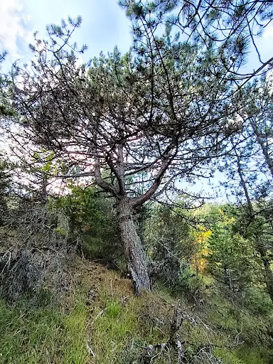 Aşağı sökü köyü 3