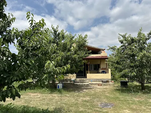 Adem Ölmez Bahçe 4