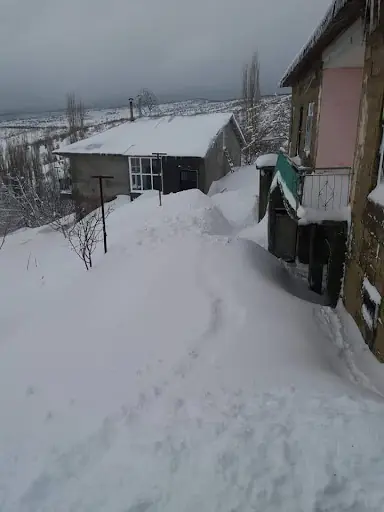Malatya Pötürge Nohutlu lar Derneği – Diğer (Güzellik), İstanbul (4. fotoğraf)