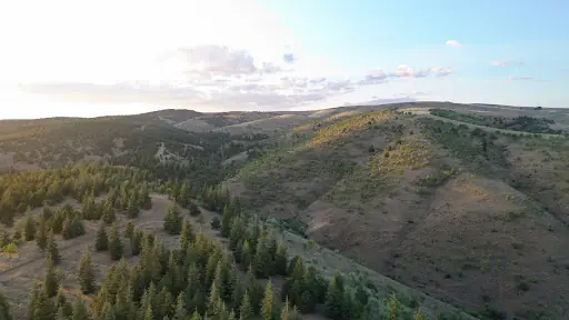 Ali Bedir Hatıra Ormanı Parkı 5