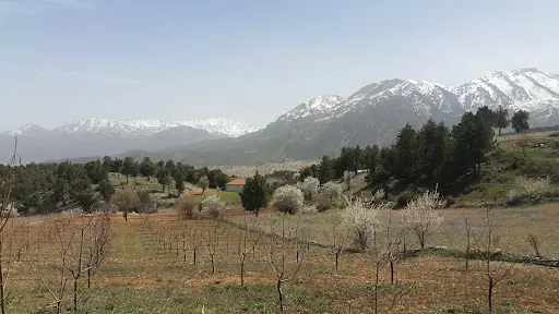 Çameli Kaymakamlığı