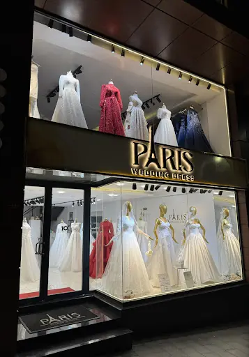 Paris Wedding Dress 3