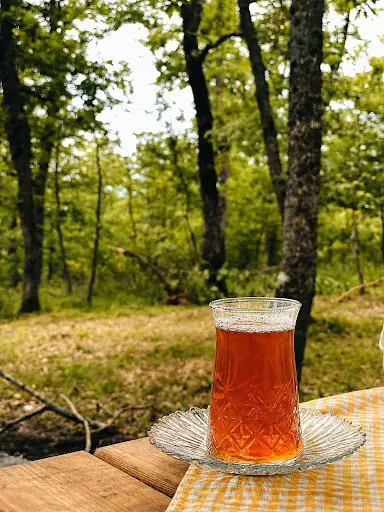 Asarcık Belediyesi Mesire Alanı 5