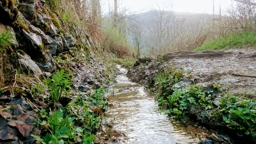 Pervari Bahçeleri