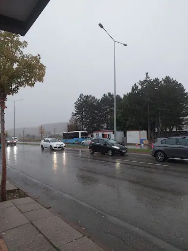 Dilan Polat Sivas 4