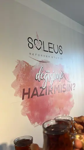 Soleus pilates reformer 4