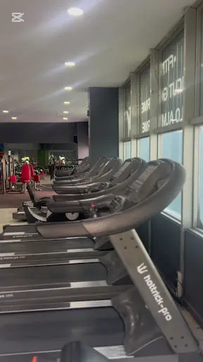Flex Fitness 3