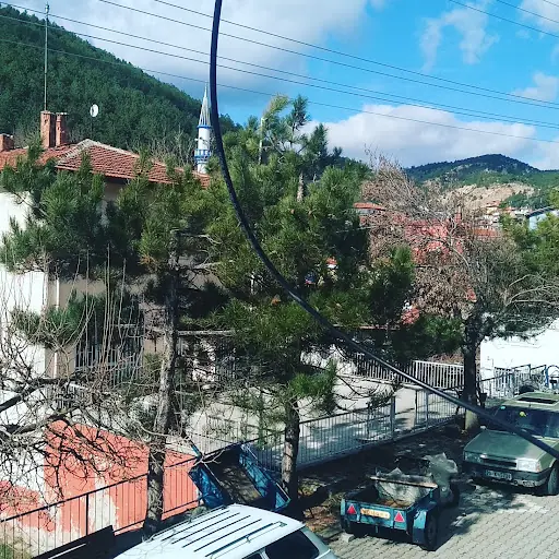 Park 2