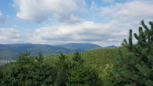 Kaynaşlı Gırgın Çayırı Mesire ve Piknik Alanı
