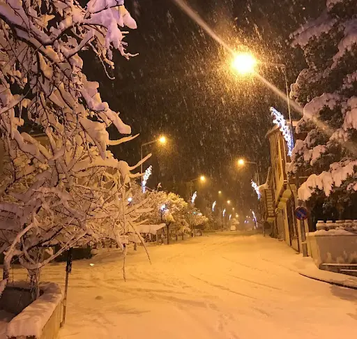 Pazaryolu Toki Konutları