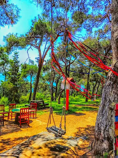 Aşıklar Tepesi Mesire Alanı 2
