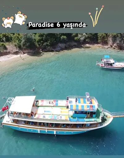 Paradise 9 2