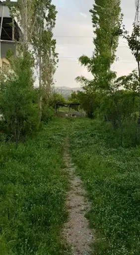 Ömer AKDEMİR Çifliği 3