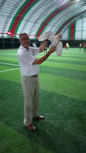 Gercüş Arena 4