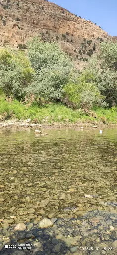 Doğadan gelen şifa 2