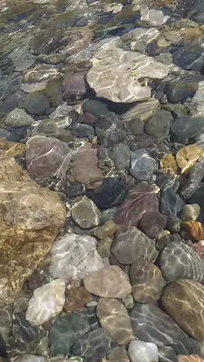 Şavaliya 3