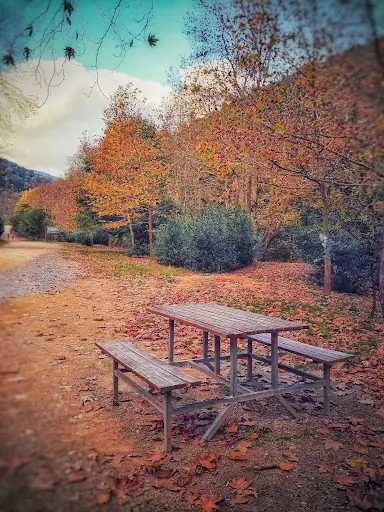 Çınarlıdere Mesire alanı