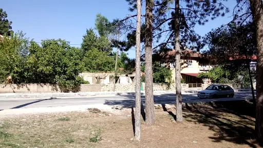 Barutlusu Havuzlu Park 4