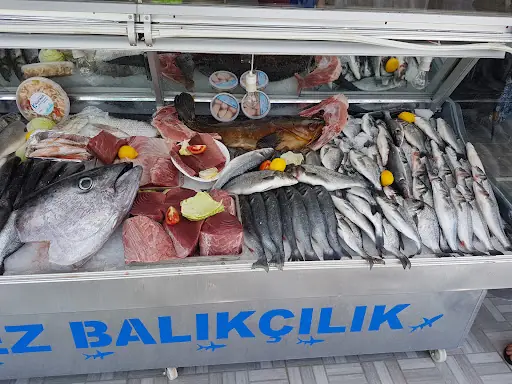 ENEZ BALIKÇILIK AYCAN'IN YERİ 2