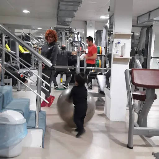 World Fitness Gym