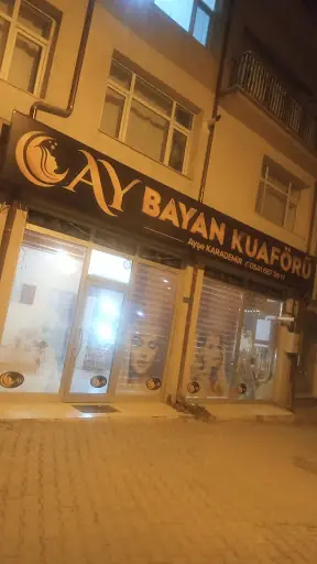 Ay bayan kuaförü 4