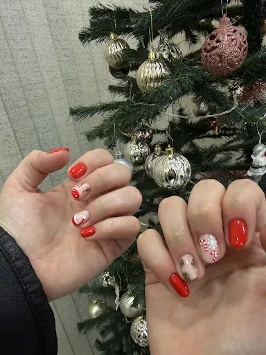 Tansu Beauty Studio 4