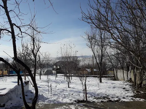 Şiran 2
