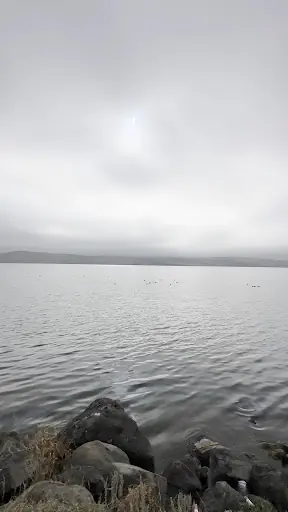 Köyceğiz Mesire Yeri 3