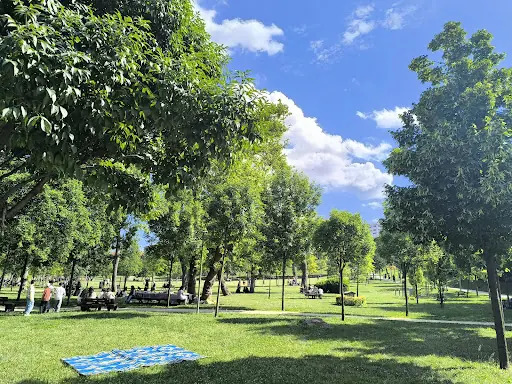 100. Yıl Kent Ormanı – Diğer (Güzellik), İstanbul (5. fotoğraf)