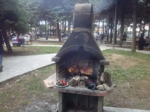 Hatıra Koruluğu 4