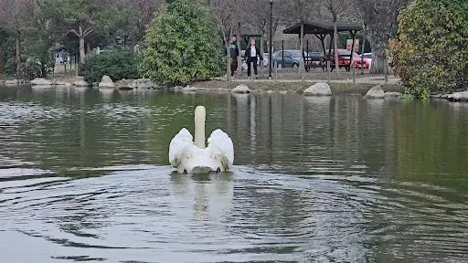 YediKır Girişi 3