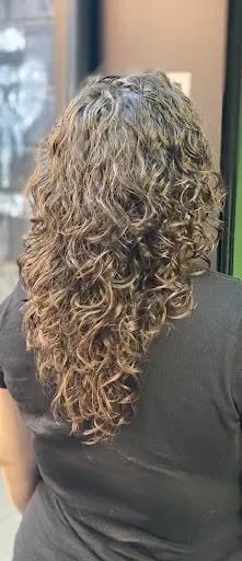 Who Hair House