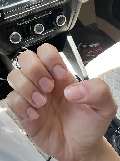 LEİLA BEAUTY 2