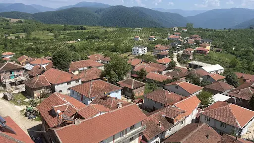 GÖKÇEAĞAÇ KÖYÜ MUHTARLIĞI 2